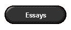 Essays